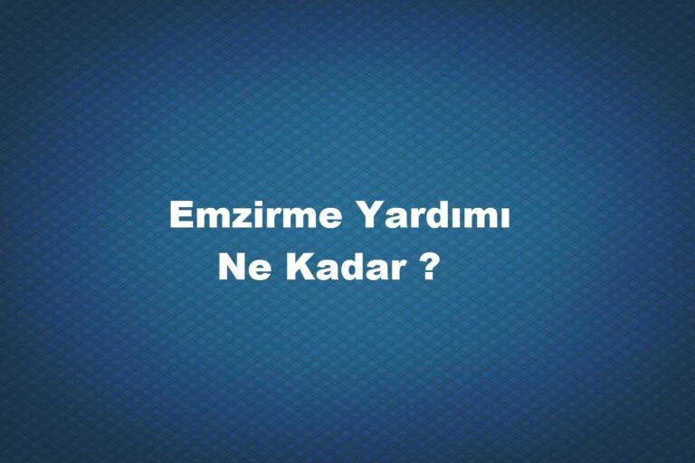 emzirme yardımı