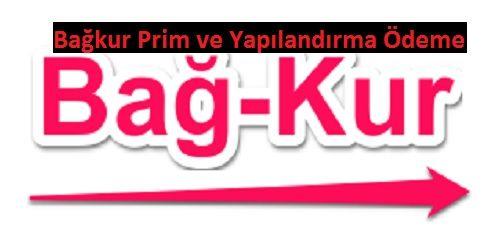 SGK prim borcu son ödeme tarihi ne zaman SGK prim borcu yapılandırma nasıl yapılır SGK prim borcu son ödeme tarihi ne zaman SGK prim borcu yapılandırma nasıl yapılır