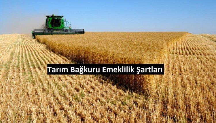 çiftçi bağkuru emeklilik tablosu