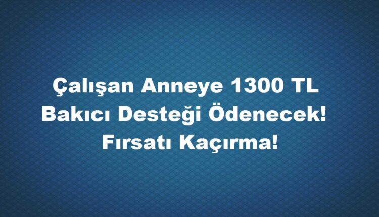24 ay bakıcı desteği