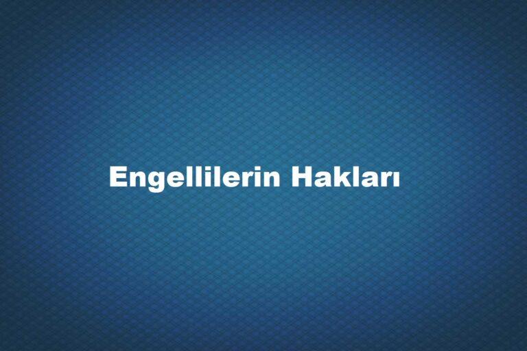 engellilerin sosyal hakları