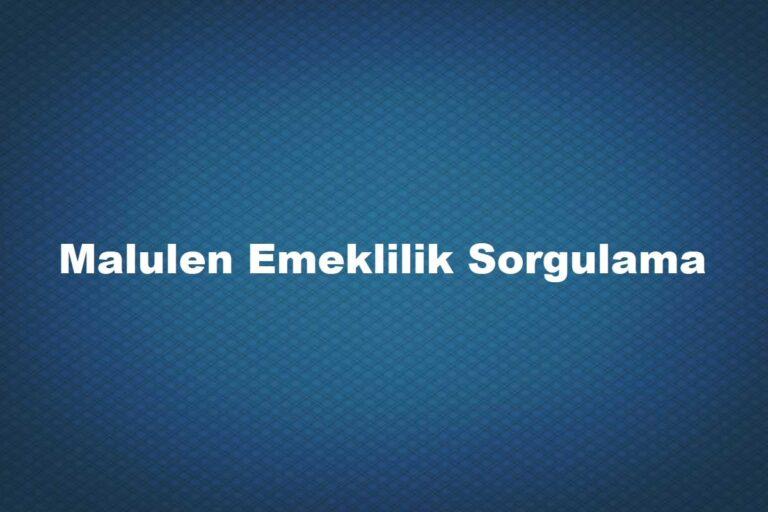 malulen emeklilik rapor sorgulama