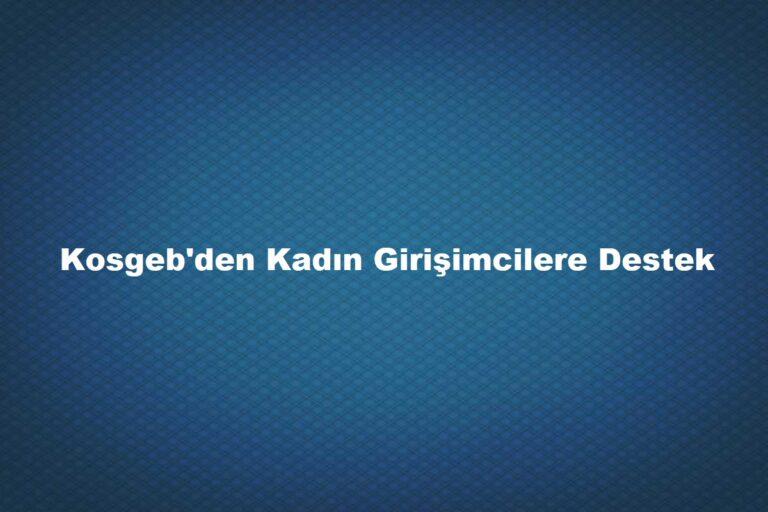 Kosgeb girişimcilik başvurusu