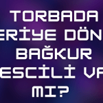 Torbada Geriye Dönük Bağkur Tescili