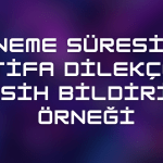 Deneme Süresinde İstifa Dilekçesi