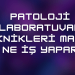 Patoloji Laboratuvar Teknikleri Maaşı